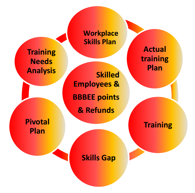 Skills Development